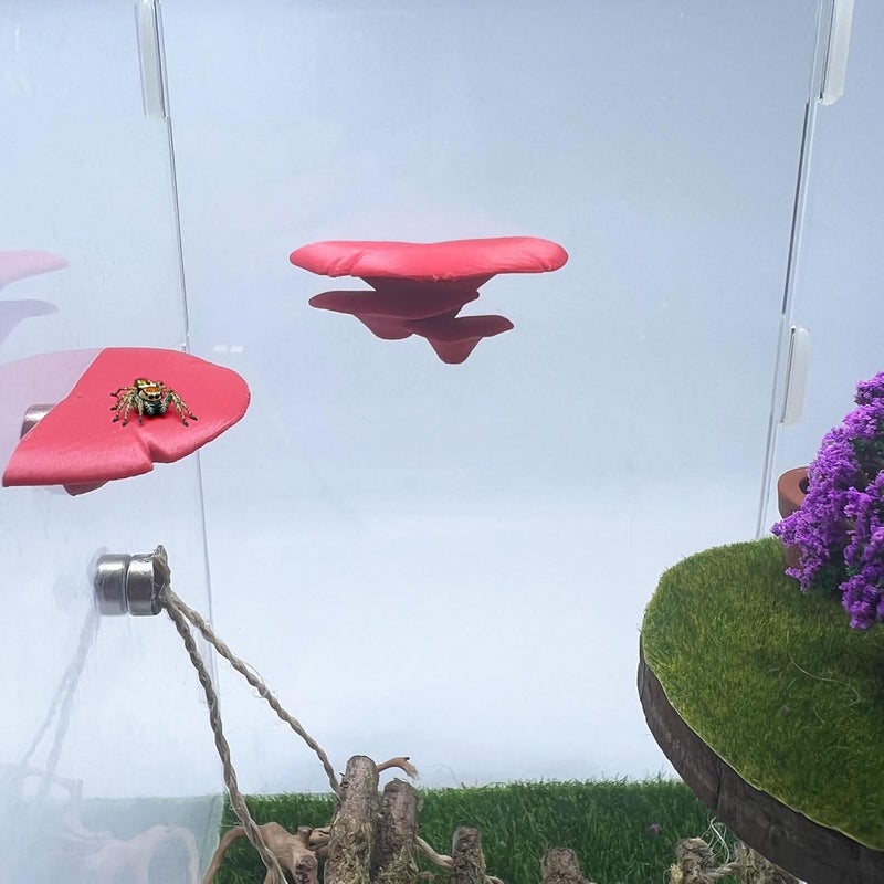 Daerky Jumping Spider Mushroom Shelf, Magnetically Concealed Jumping Spider Habitat,Serves As Enclosure Decorate Accessories for Spider Climbing Feeding and Platforms (Red) - Image 4